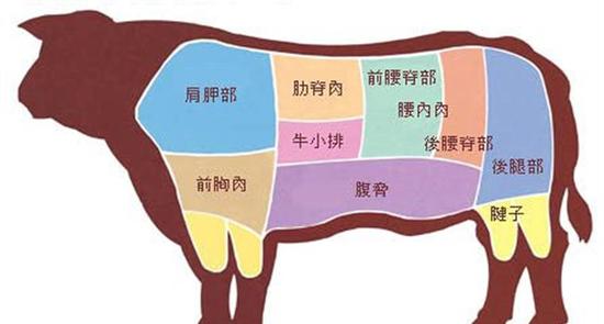 巴西烤肉对牛肉的部位区分得非常细,细到一般人根本难以区分每次上的
