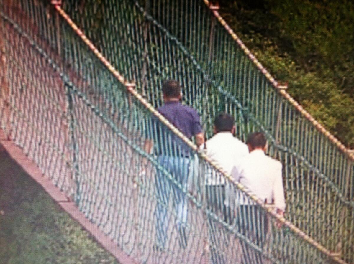 收入证明_公园门票收入