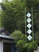 cctv7֮