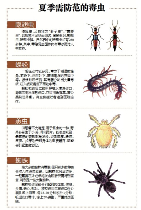 蜱虫嵌在肉窝里 拔下时嘴里还含着块肉