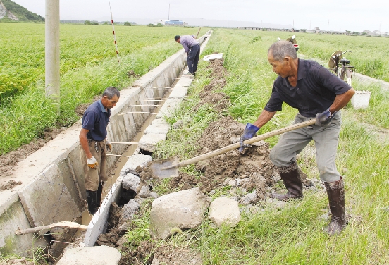 昨天中午,松门镇苍山村基本农田区块,村民在修复受损沟渠.