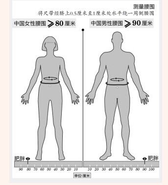 中国男性腰围≥90厘米为肥胖