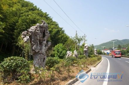 白岘打造全省首条景观石公路绿化带图