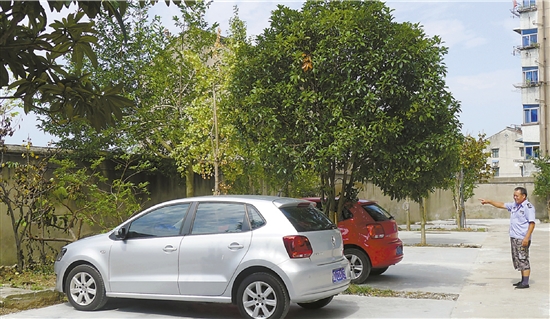 绿化带改造成生态停车位