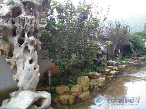 庭院里的生意经 太湖石致富白岘村民(图)
