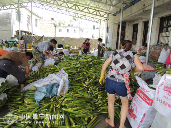 一亩三分地耽美_一亩地收入多少钱