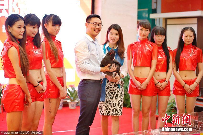 商家为鸡办选美比赛