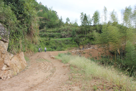 即知即改项目:修建冯家山村石室岗农田路--中国