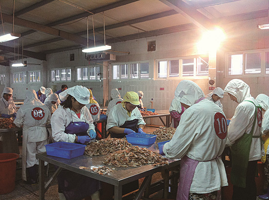 沈家门剥虾技能大比武