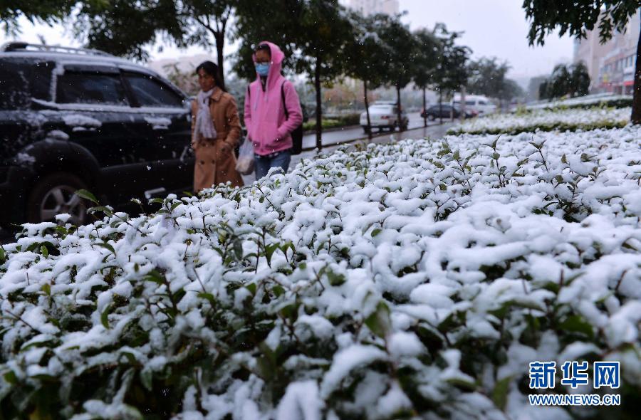 甘肃迎来今秋首场降雪