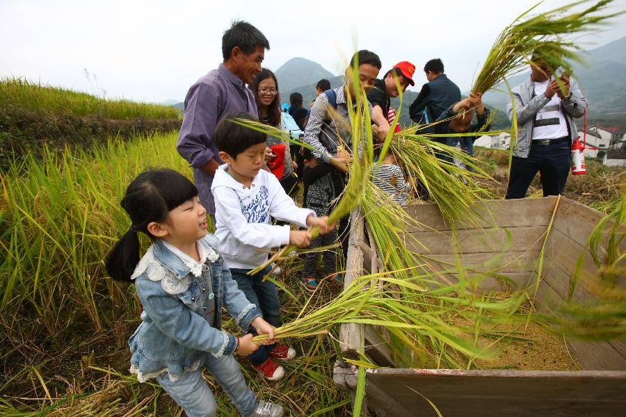 10月12日,在浙江省奉化市大堰镇,小朋友在农民指导下体验打稻谷.