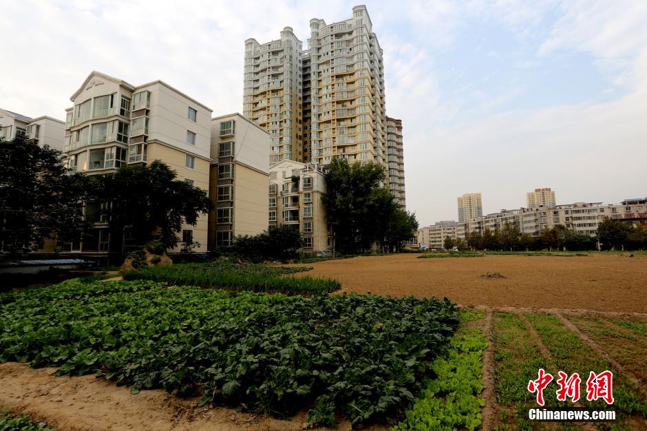 郑州闹市区现