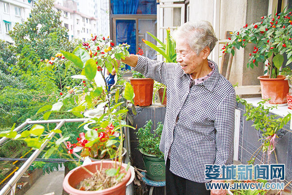 婺城口人口_金华婺城消防