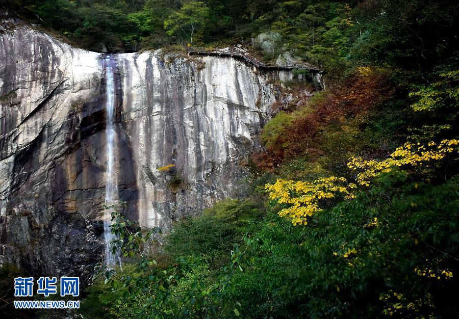 秋意浓浓大别山