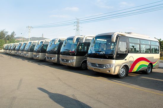 新公交车上岗