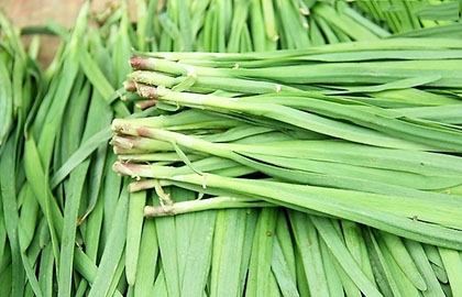 啥菜营养价值 16177733_454153.jpg