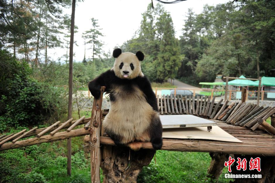 云南昆明动物园体检