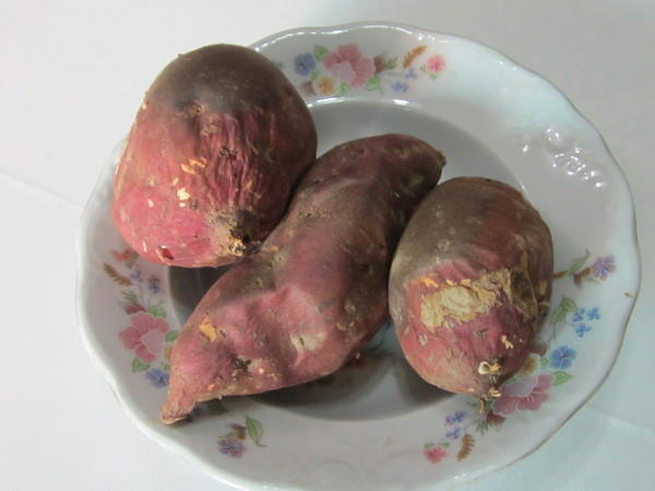 �ÿ�����������