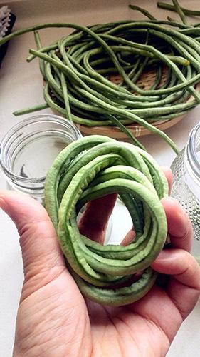 �����ᶹ��