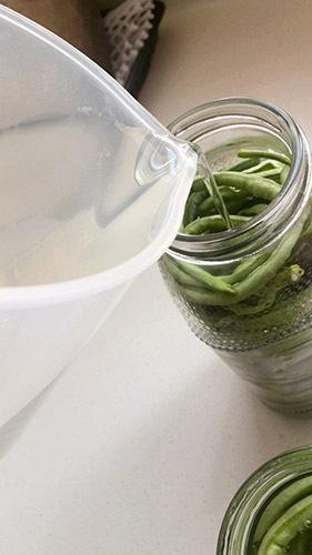 �����ᶹ��