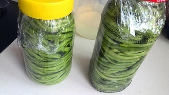 �����ᶹ��