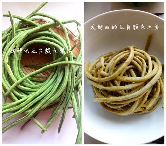 �����ᶹ��