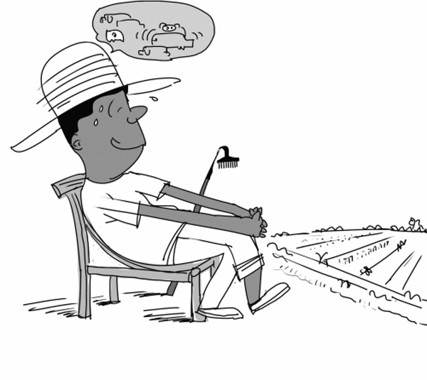 农场主的女儿们_农场主收入(2)