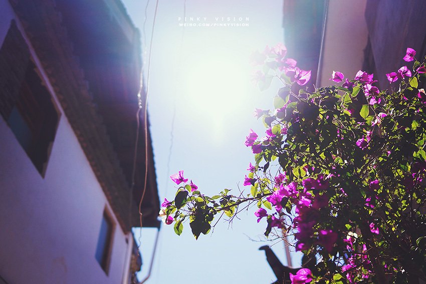 心暖花开 慢享慵懒丽江-丽江-衢州频道