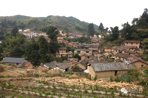 官岭村人口_东城涡岭村人口(3)