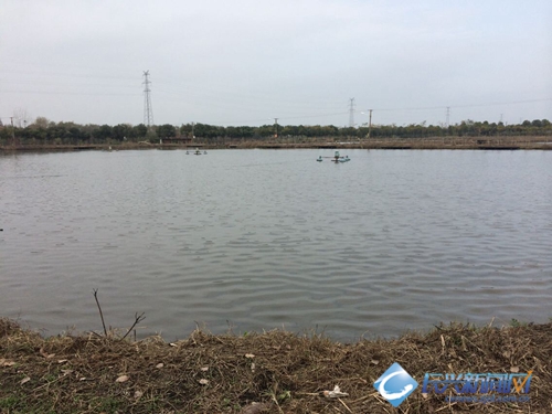 钱家(土斗)发展特色水产养殖300余亩 亩产净收