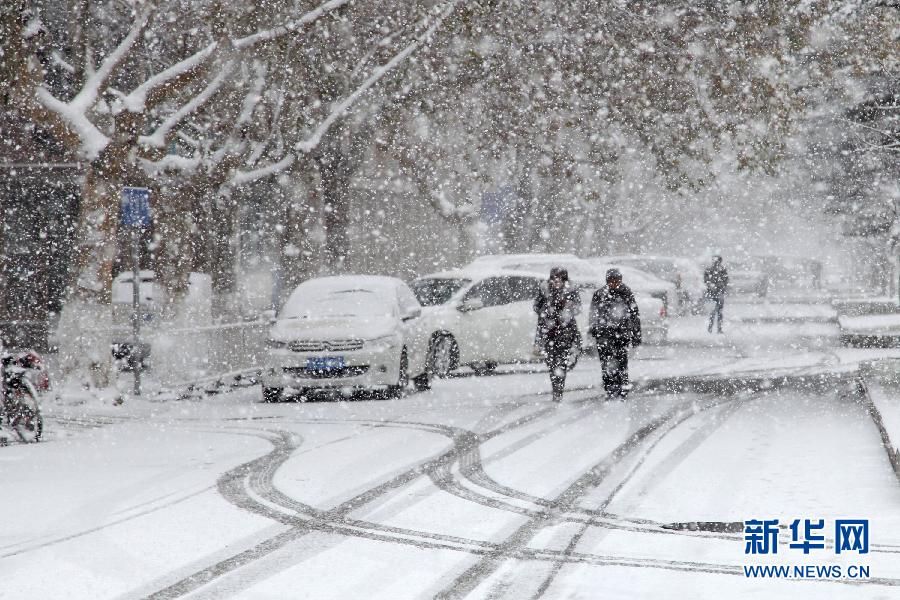 胶东降下入冬来首场大雪