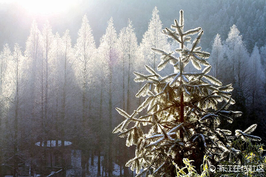 金华今冬第一场雪