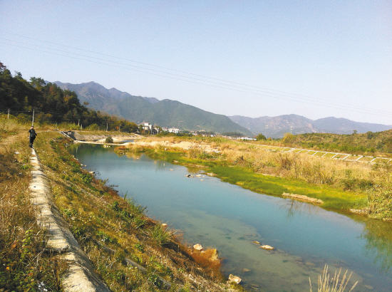 镇里,村里经常跟他们宣传治水,还组织村民去始丰溪里捡垃圾