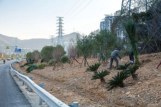 城北加油站至舵岙村两侧环境提升工程月底完工