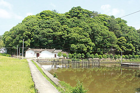 淤头镇人口_淤头镇浓家宴