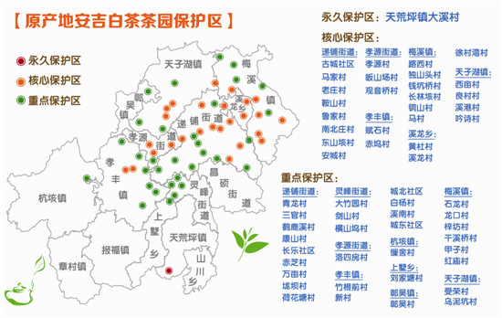 我县发布《关于原产地安吉白茶茶园保护区域的通知》