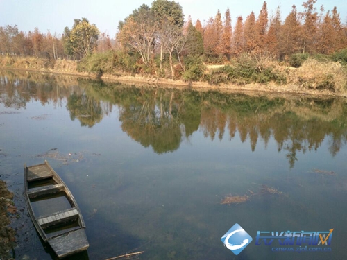 水口港整治提升明显 青虾养殖受益(图)-3