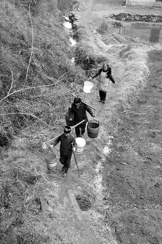 义乌城西街道鲤鱼山村前陈自然村干旱少雨,村民外出挑水喝.