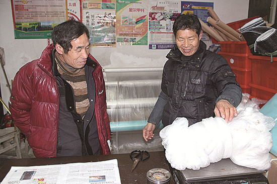 我区备足1000吨农资保春耕