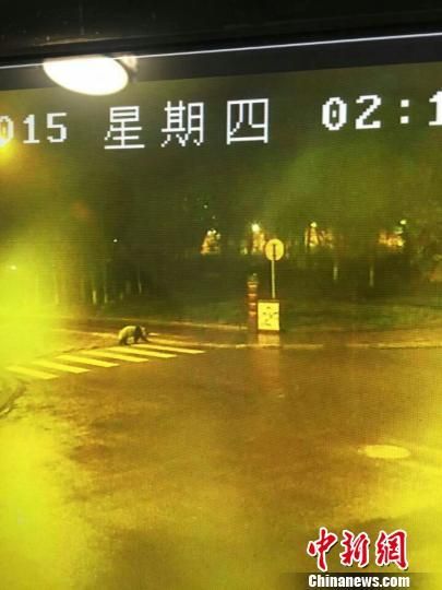 �����Ƶͼ�񡣡���������