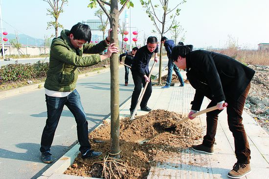 我为家园添新绿