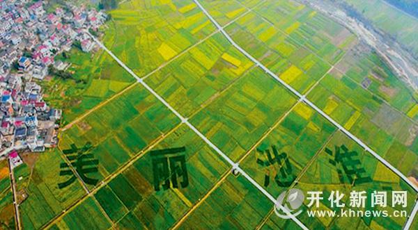 华夏第一乡村旅游大超市东部福畈田园池淮