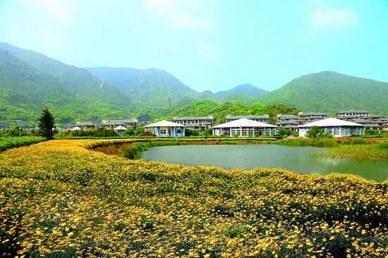 全景普陀 绿意盎然