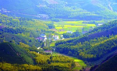 国庆各省旅游收入排行_生态旅游收入