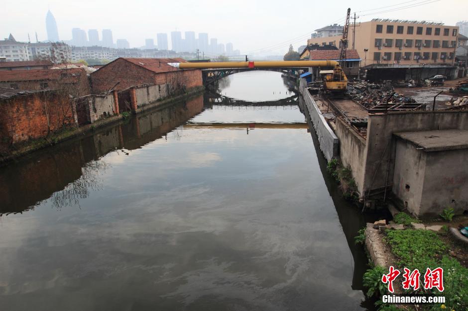 绍兴市区河道油污漂荡