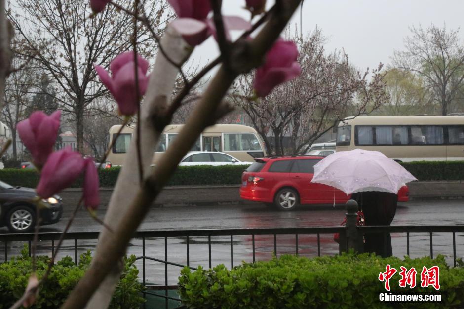 北京迎今年首场春雨