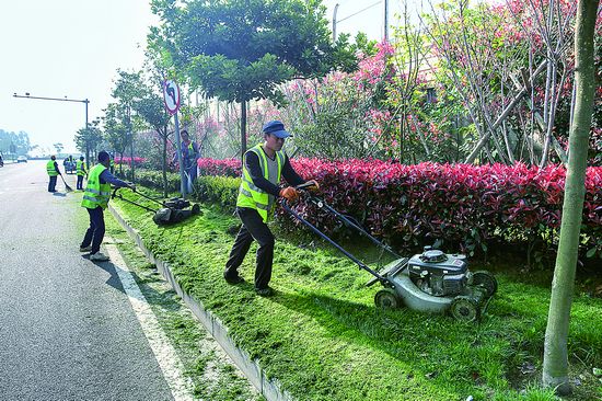 整理绿道 美化城市