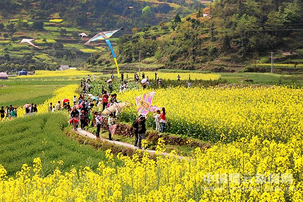 抓好农村三务公开 强化集体三资管理--缙云