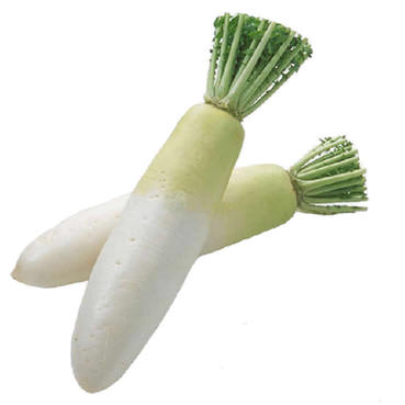 世界上各种各样的萝卜 16656402_233899.jpg