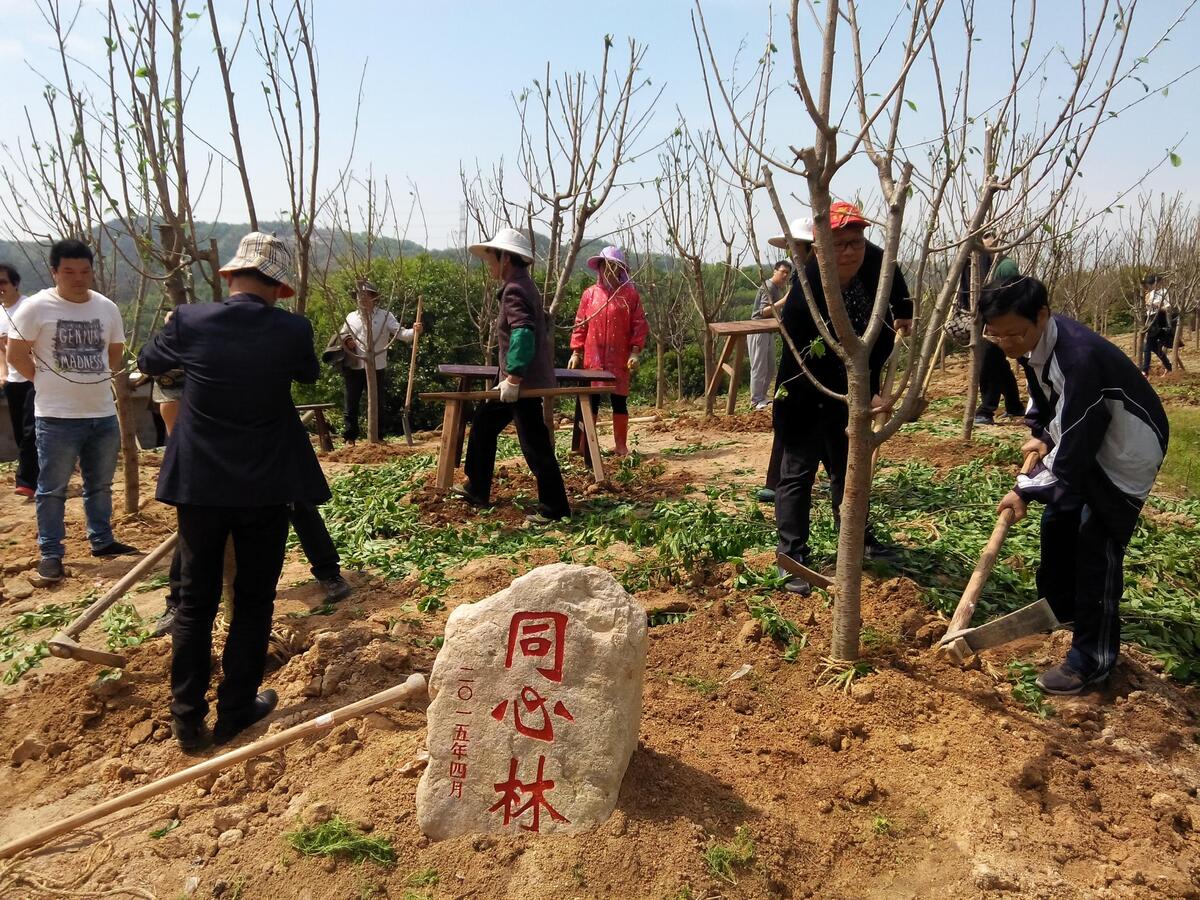 市委统战部组织“同心林”植树揭碑活动--温岭新闻网